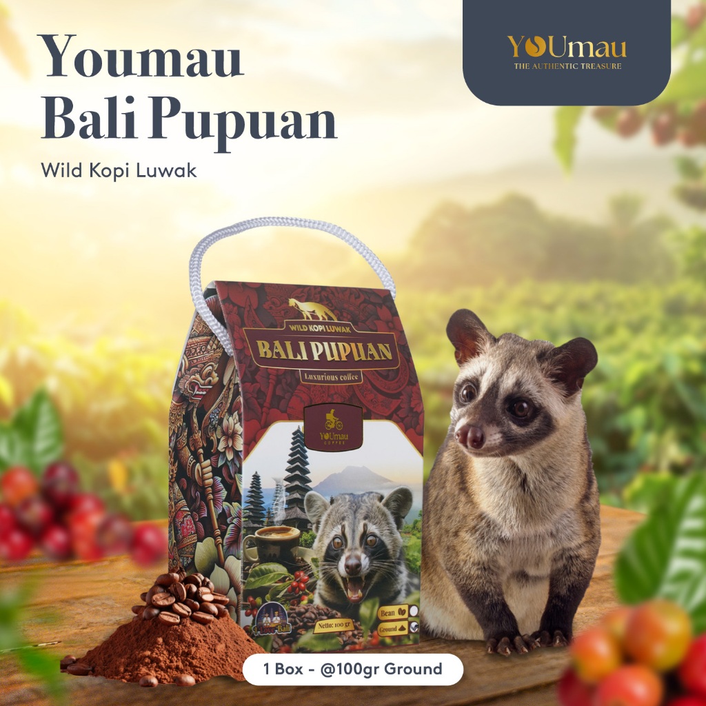 

YOUmau Kopi Luwak Bali Pupuan Tali (GROUND)