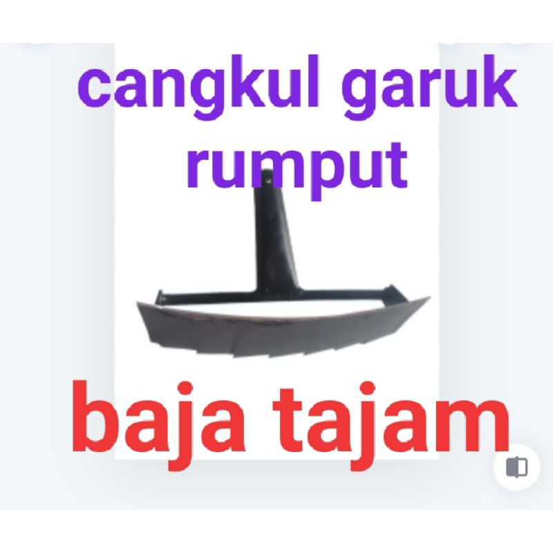 garuk rumput liar