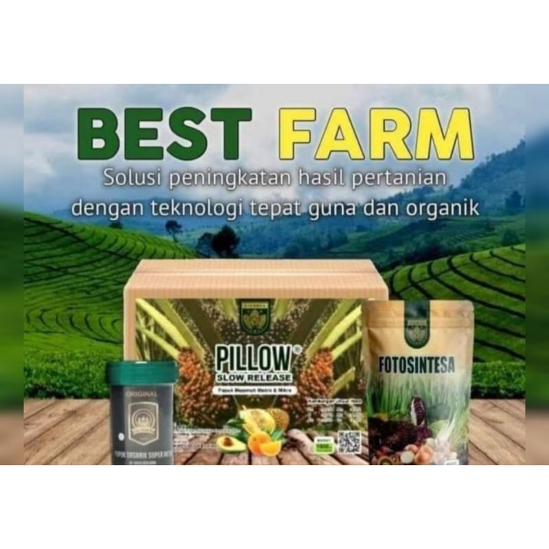 Pupuk Besfarm Pillow Slowrelease pupuk sawit nutrisi lengkap