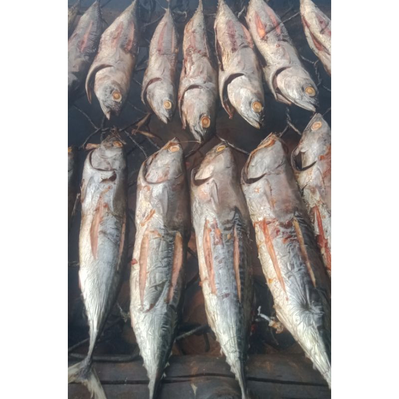 

IKAN KOMO ASAP (FUFU) KHAS MALUKU