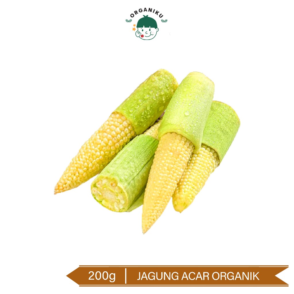 

Jagung Acar Organik 200g/ Putren 200g / Jagung Baby / Organic Baby Corn 200g