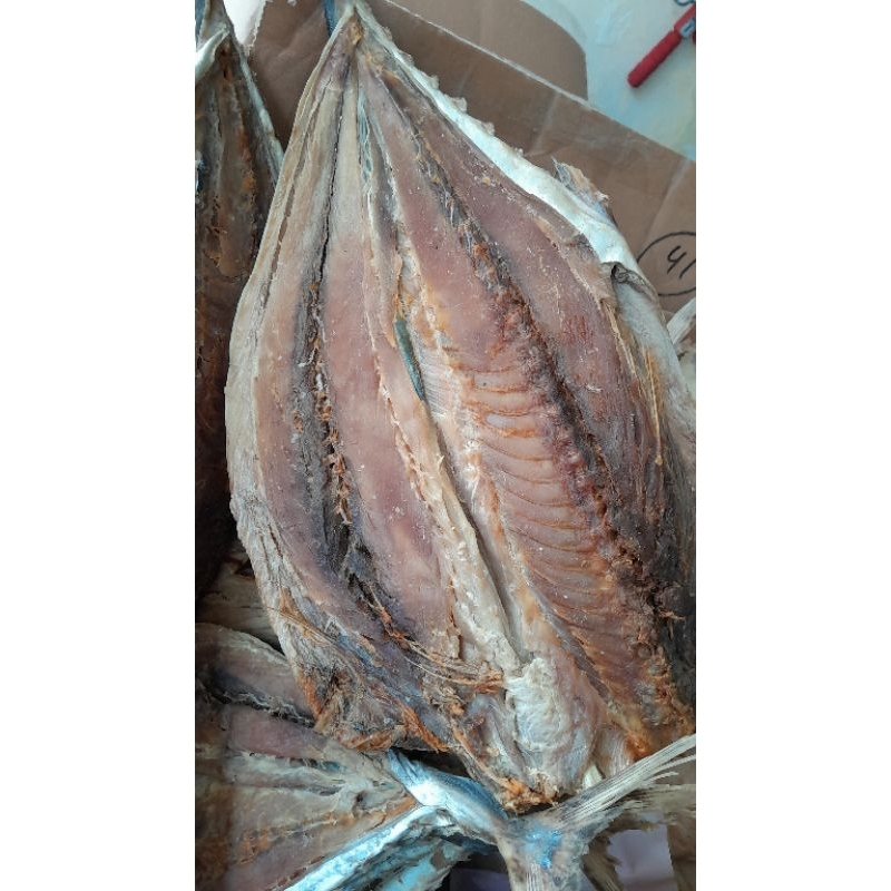 

Tongkol Asin 1kg