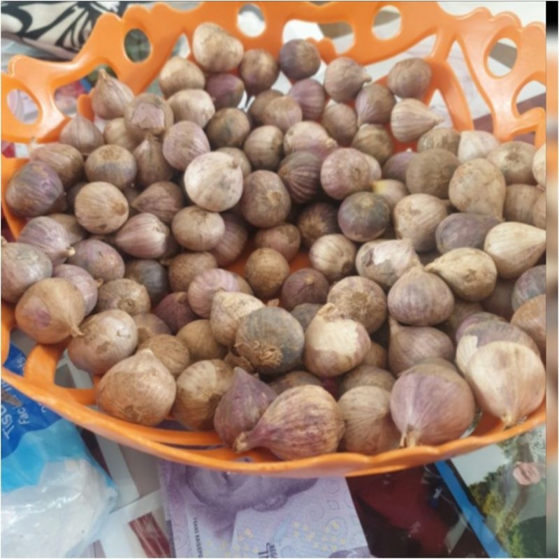 

Bawang lanang putih tunggal /bawang putih tunggal lanang 100gr