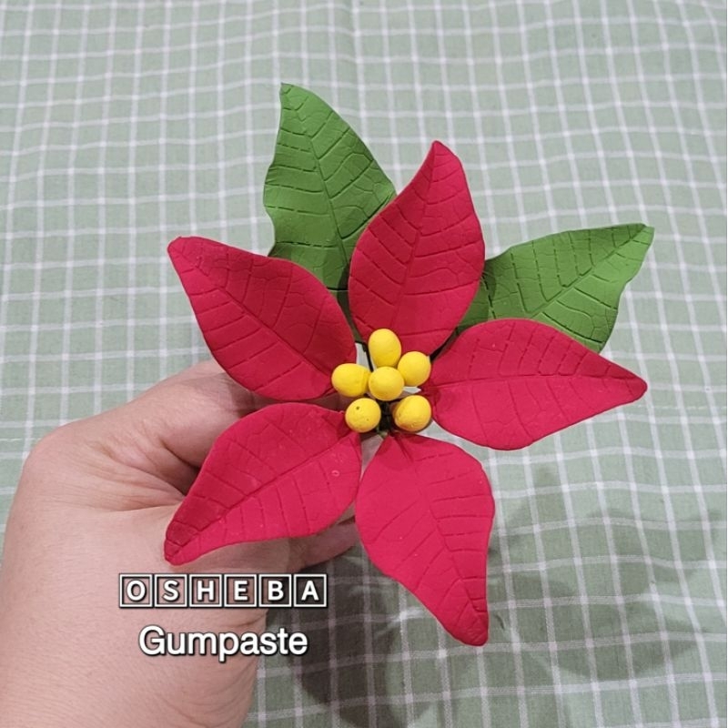

[osheba] gumpaste bunga natal PT s12