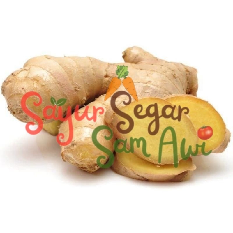 

JAHE SEGAR 100 gram, 250 gram, 500 gram | INSTANT MALANG | SAYUR SEGAR | SAYUR SEGAR SAM AWI