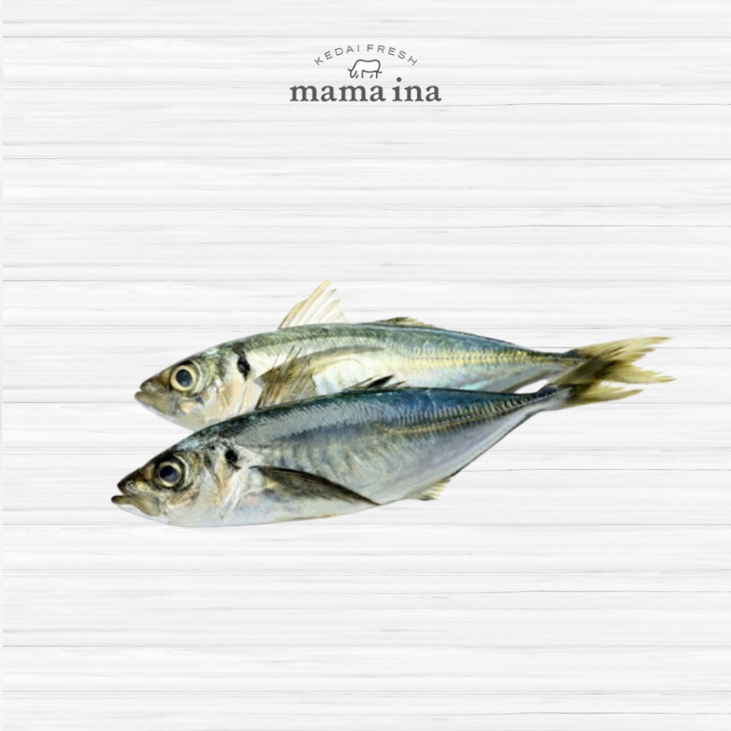 

Ikan Layang 500g