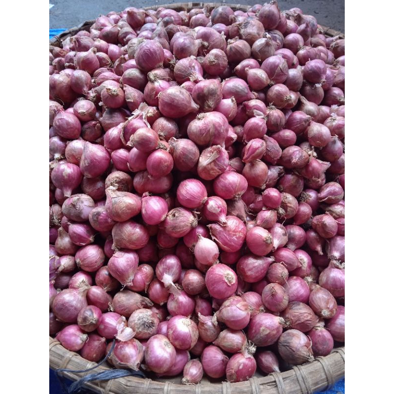 

Bawang Merah Besar Kering, 1/2 KG (500 gram) . Bawang merah Super 500 G