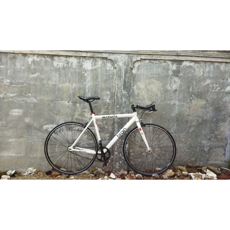 fixie brain medulla