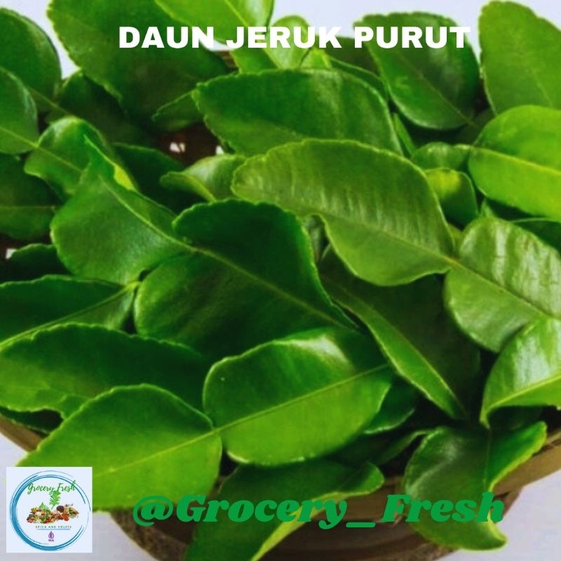 

Daun Jeruk Purut Fresh Segar Bumbu Dapur Hasil Kebun Sendiri