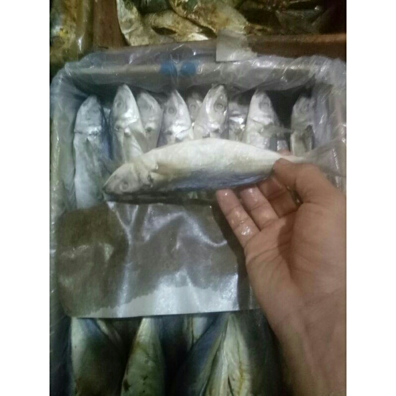 

japuh jumbo 250gr