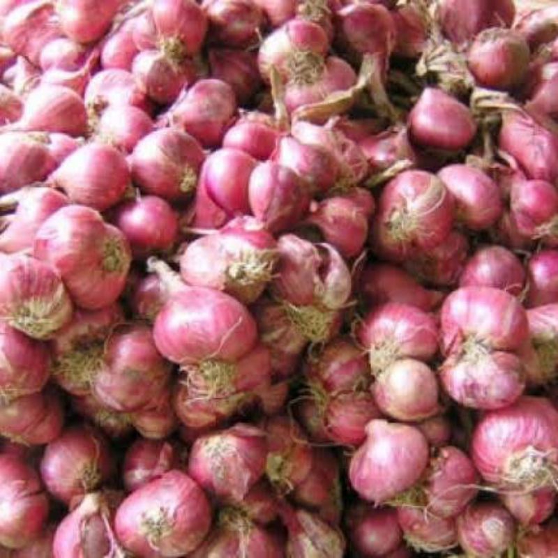 

BAWANG MERAH SUPER, BAWANG MERAH 1KG, BAWANG MERAH BESAR, BAWANG MERAH JAWA, BAWANG MERAH GARUT, BAWANG