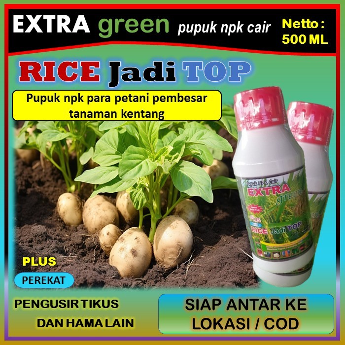 Pupuk tanaman kentang npk cair lengkap ( EKTRA GREEN RICE jadi TOP ) 500 ml - pupuk penyubur tanaman