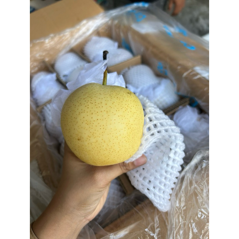 

BUAH PEAR CENTURY 1 kg FRESH