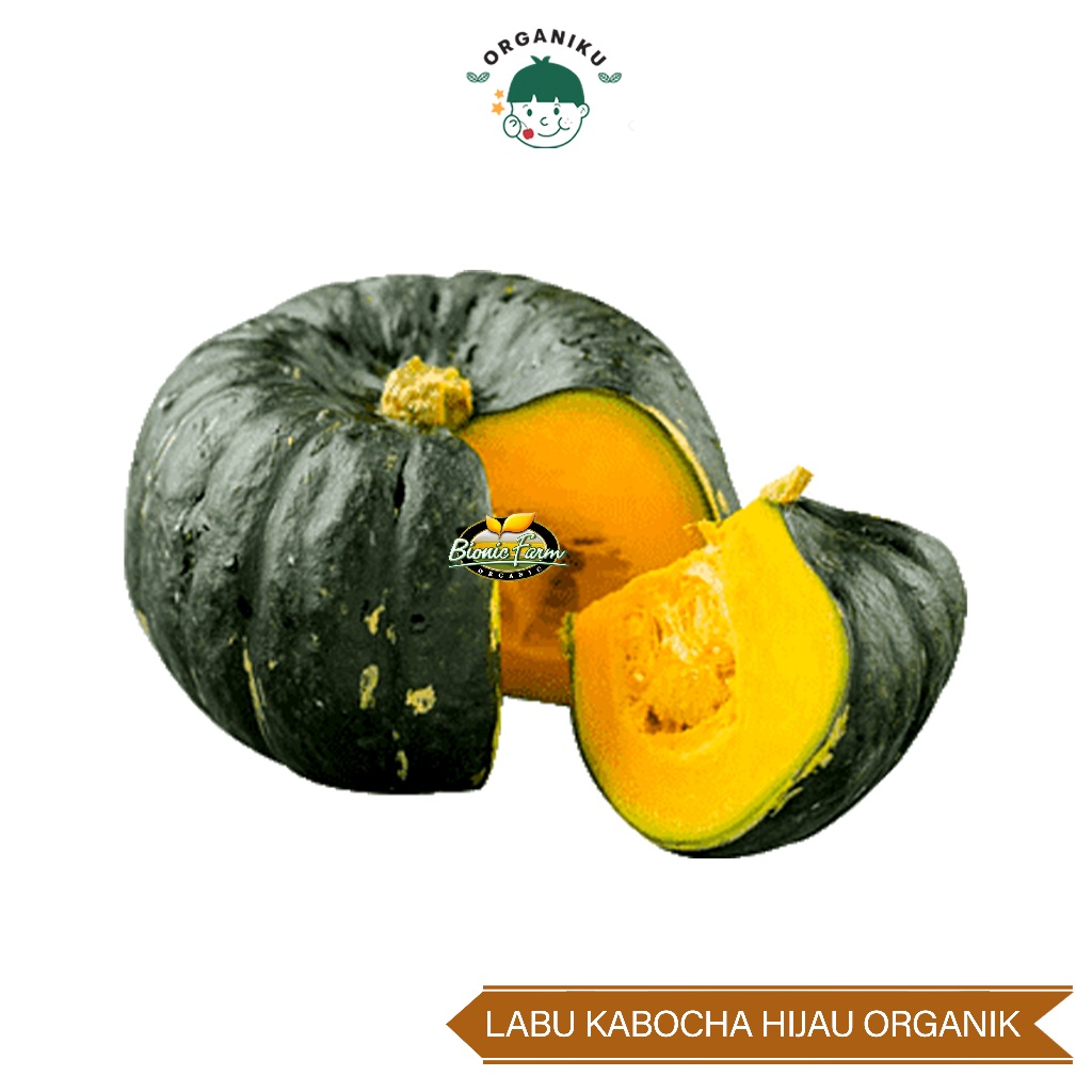 

Labu Kabocha Hijau Organik Bionic Farm