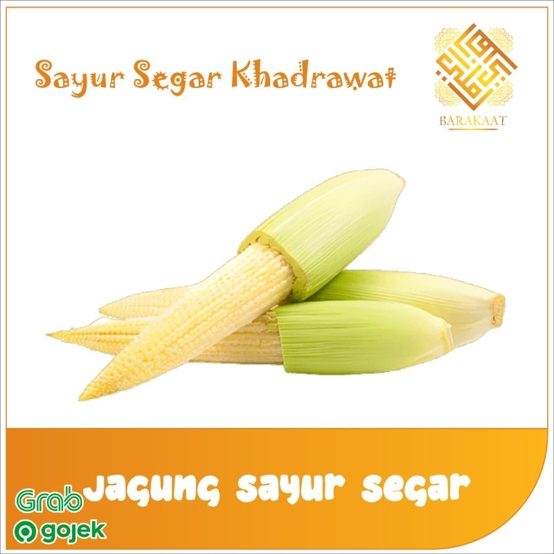 

Jagung Sayur Segar 100 gram