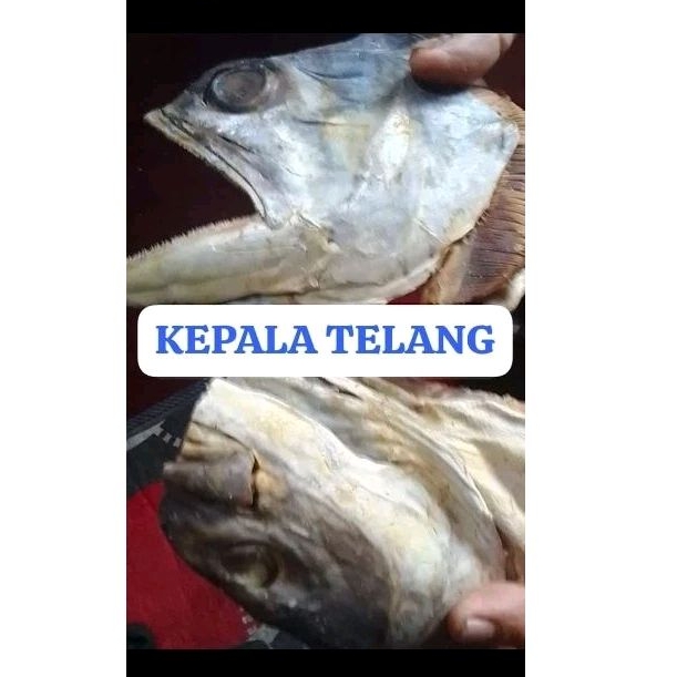 

kepala ikan