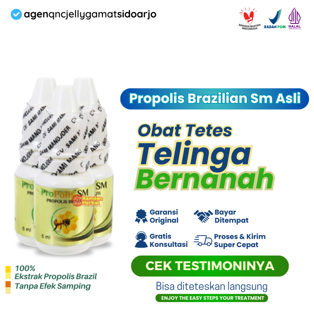 Obat Tetes Telinga Bernanah, Obat Telinga Berair, Obat telinga Congek, Infeksi Telinga, Propolis SM