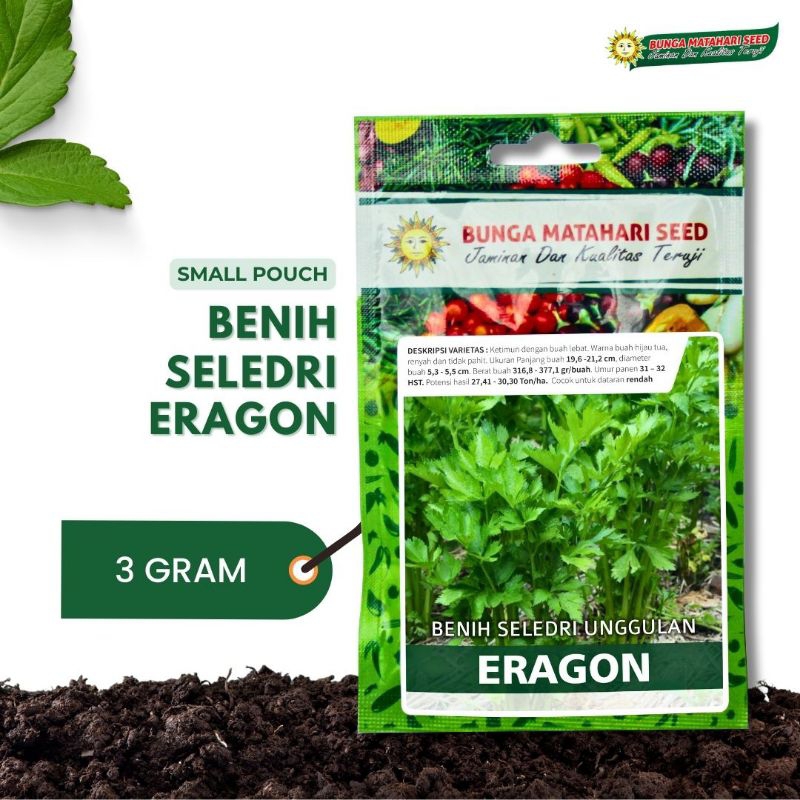 MATAHARI SEED - Benih Seledri Unggulan (Seledri Eragon) Bibit Unggul