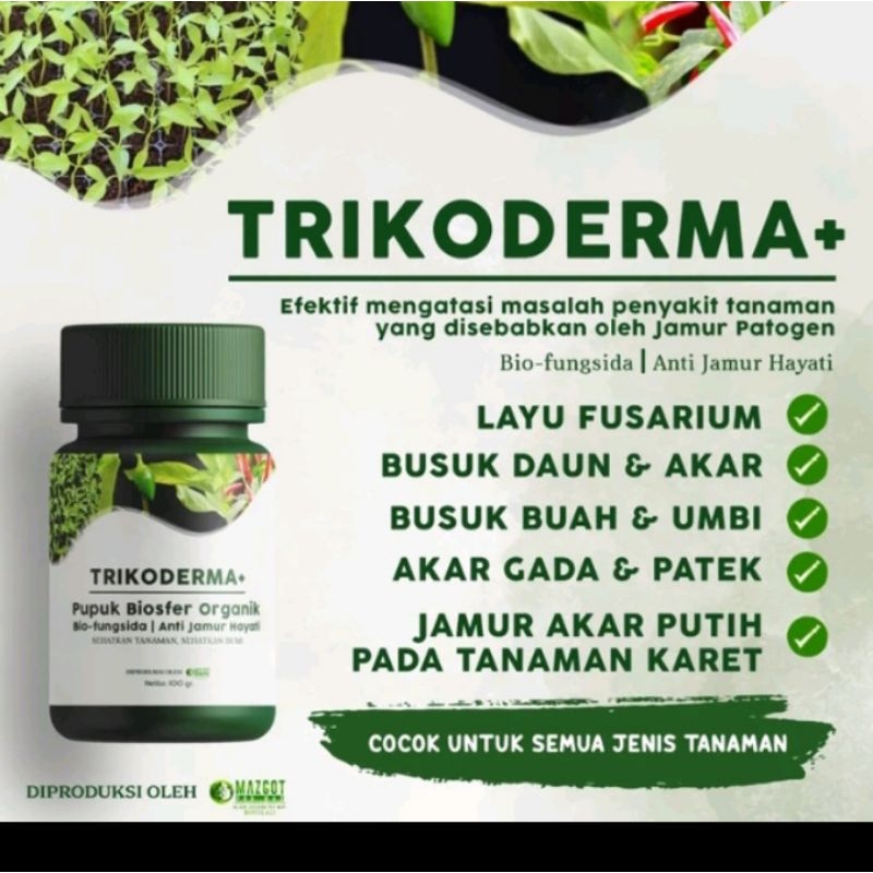 ALFAGREEN 3 Gratis 1- PUPUK TRIKODERMA