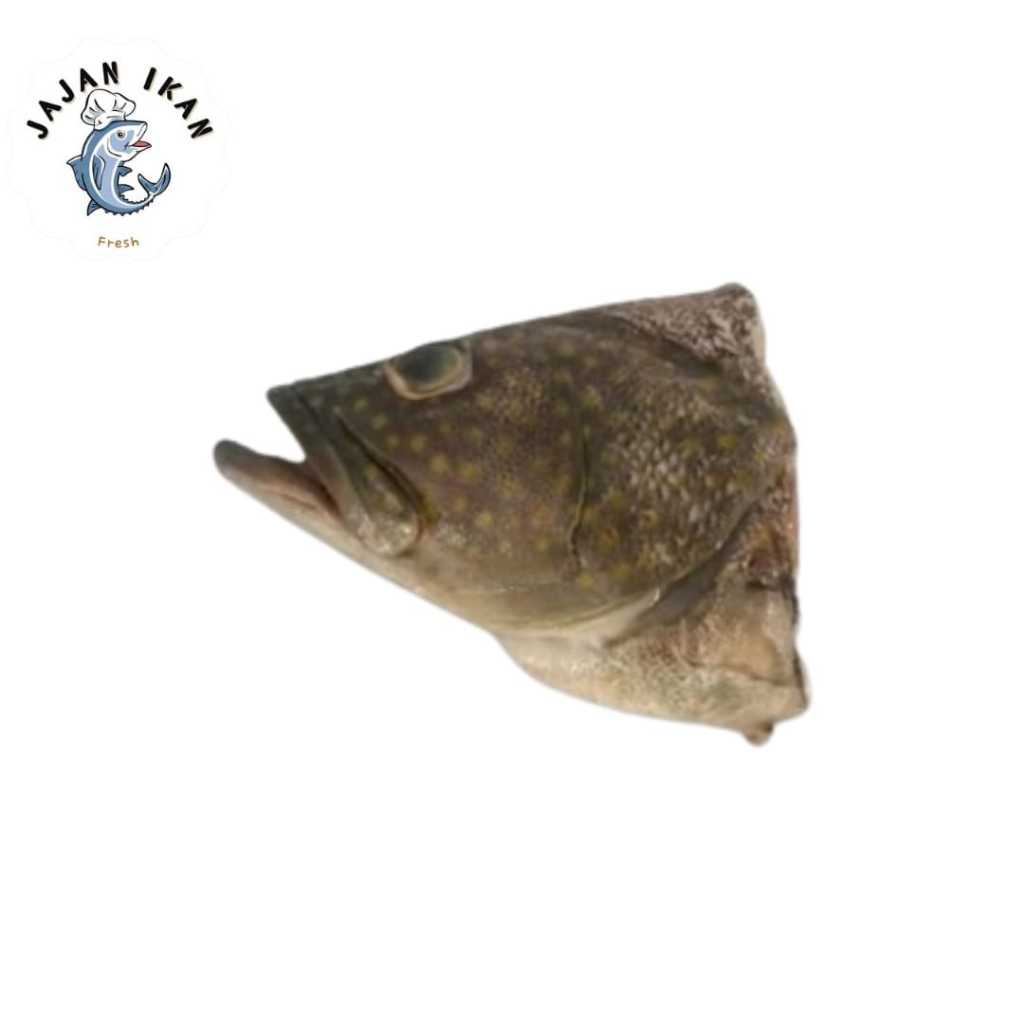 

Kepala ikan Kerapu segar 1kg