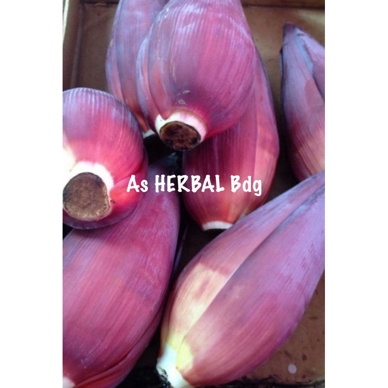 

Jantung pisang raja segar 1 kg petik langsung