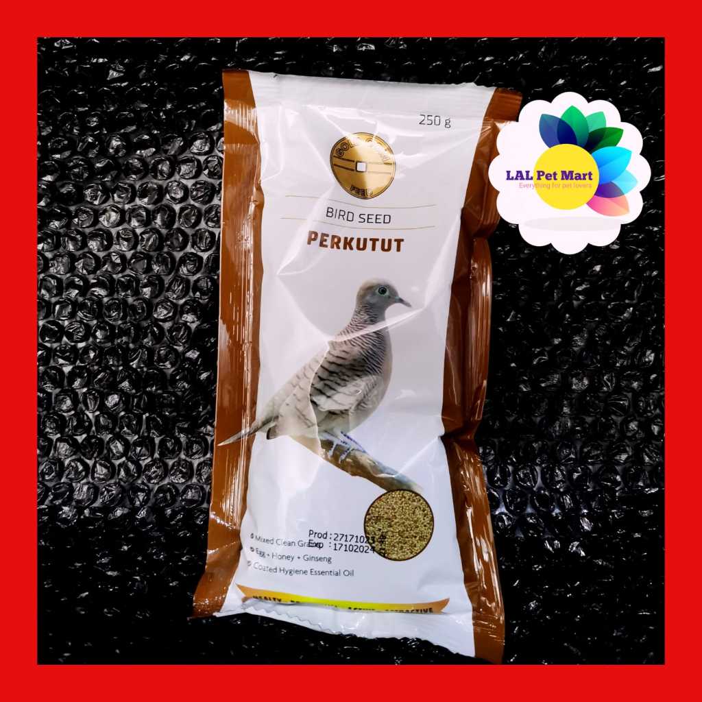 GOLD COIN PERKUTUT PAKAN BURUNG PERKUTUT