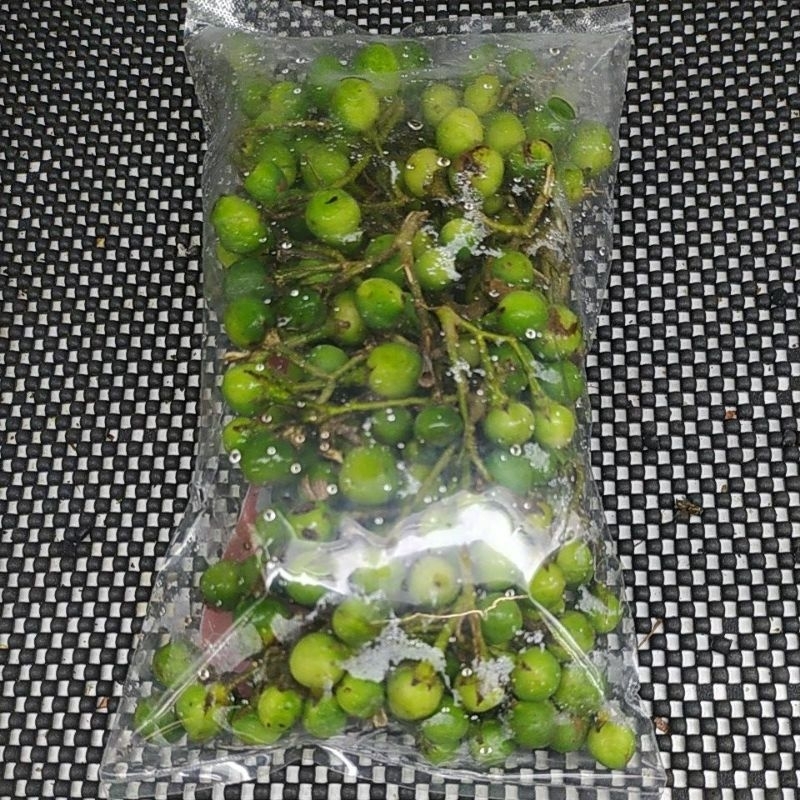 

POKAK ONGK KOKAK ONGKAK ONGKOKAK SEGAR 250 GRAM FRESH ASLI DENPASAR BALI