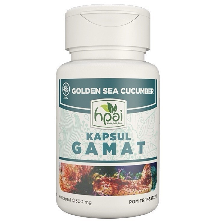 Kapsul Gamat HNI - HPAI mengandung gamat emas
