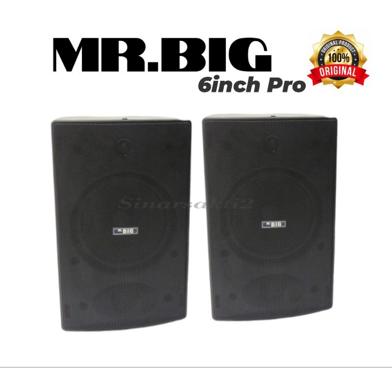 Speaker pasif 6inch Mr.BIG pro