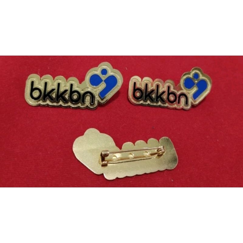 pin BKKBN