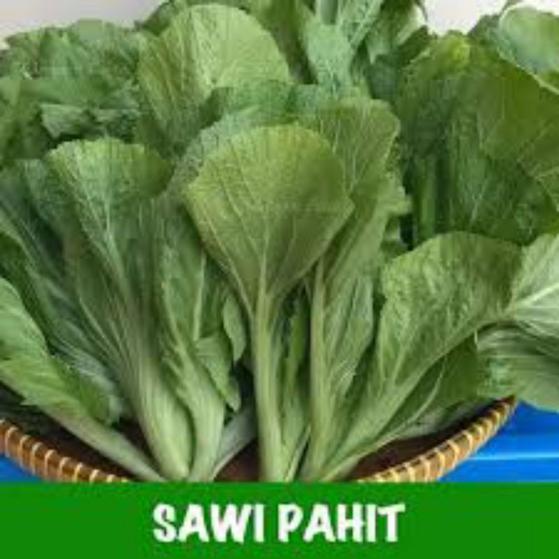 

Sawi pahit 500g