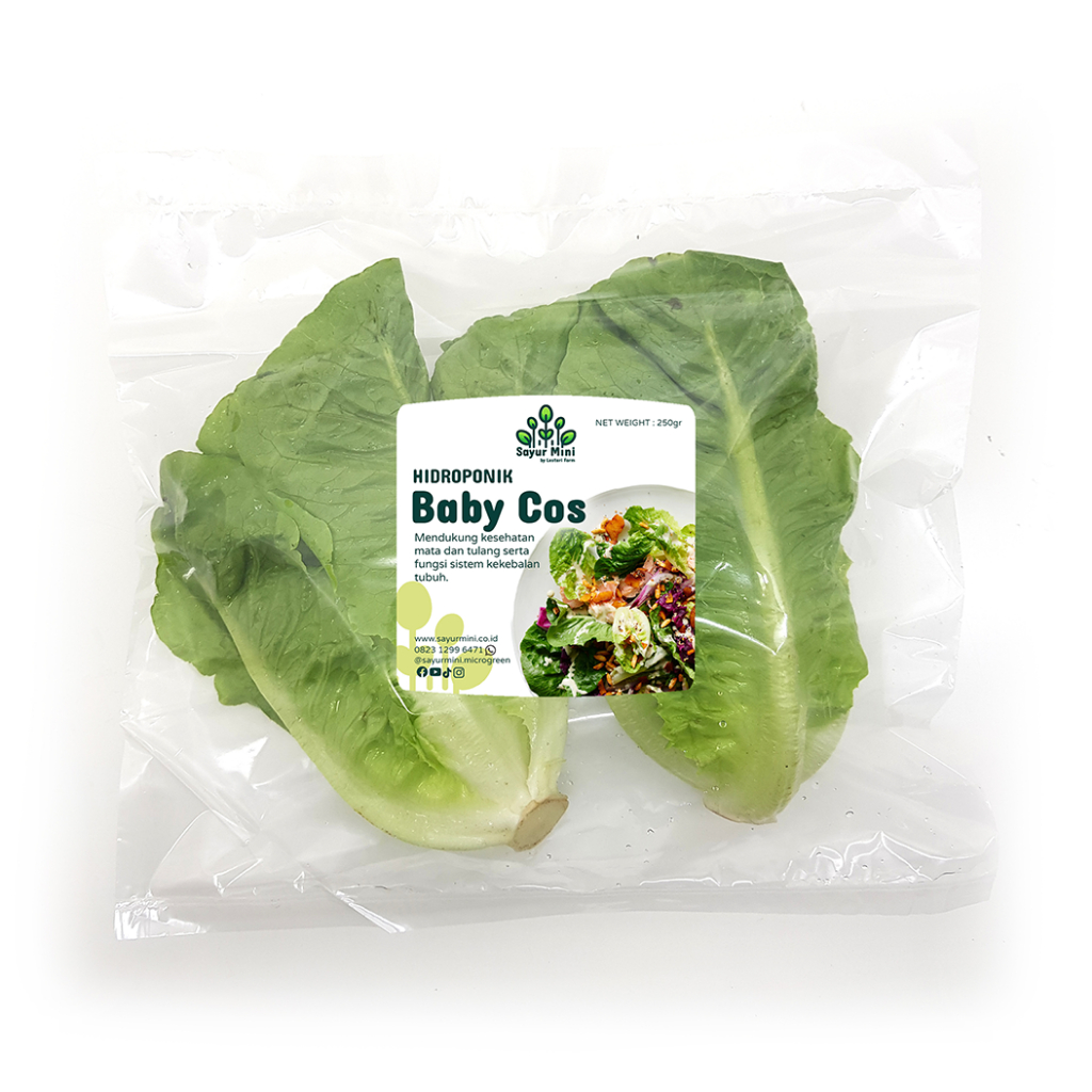 

SAYUR MINI Hidroponik Baby Romaine 250gr - Baby Cos - Fresh Cut - Hidroponycs