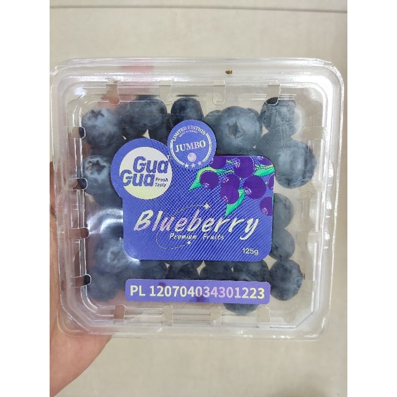 

Buah Blueberries | Blueberry Gua Gua 125 Grm