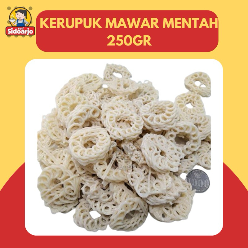 

KERUPUK SEBLAK KRUPUK KERITING KECIL Mentah Krupuk Seblak Rafael MAWAR PUTIH Asli Sidoarjo 250 gr
