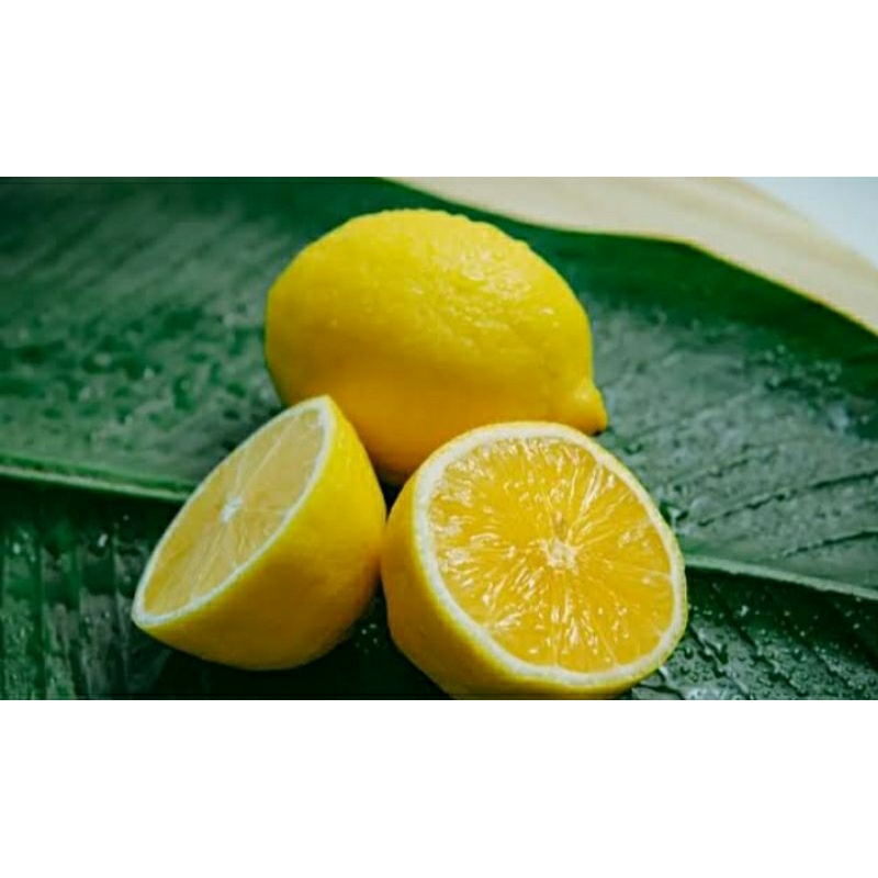 

BUAH LEMON IMPORT CALIFORNIA/BUAH LEMON FRESH