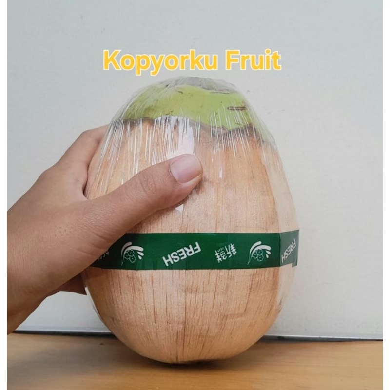 

kelapa kopyor Grade NC