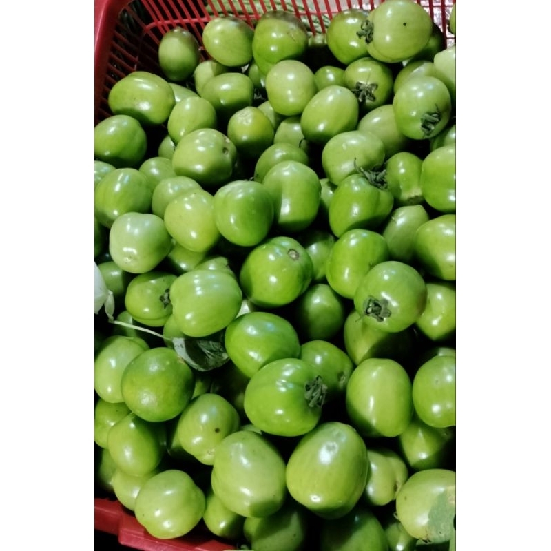 

Tomat Hijau Segar (250gram)