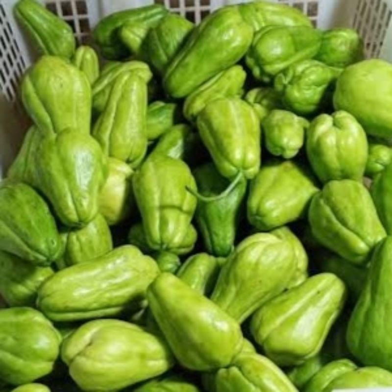 

Labu siam kecil/Labu lalap