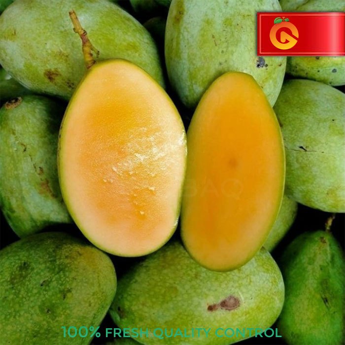 

MANGGA MANALAGI FRESH MANIS 1 KG