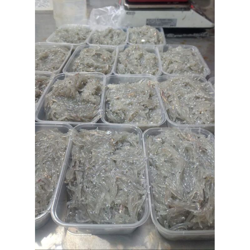 

ADY78 Teri Nasi Basah Fresh Frozen/Teri Nasi Basah MPASI 500grm