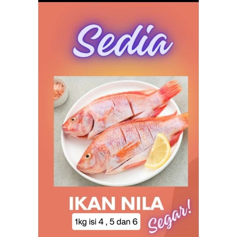 

Ikan Nila merah segar fresh , ikan nila hidup , ikan konsumsi, ikan enak , ikan masak , ikan siap saji , ikan beku , ikan bumbu , ikan non bumbu , ikan