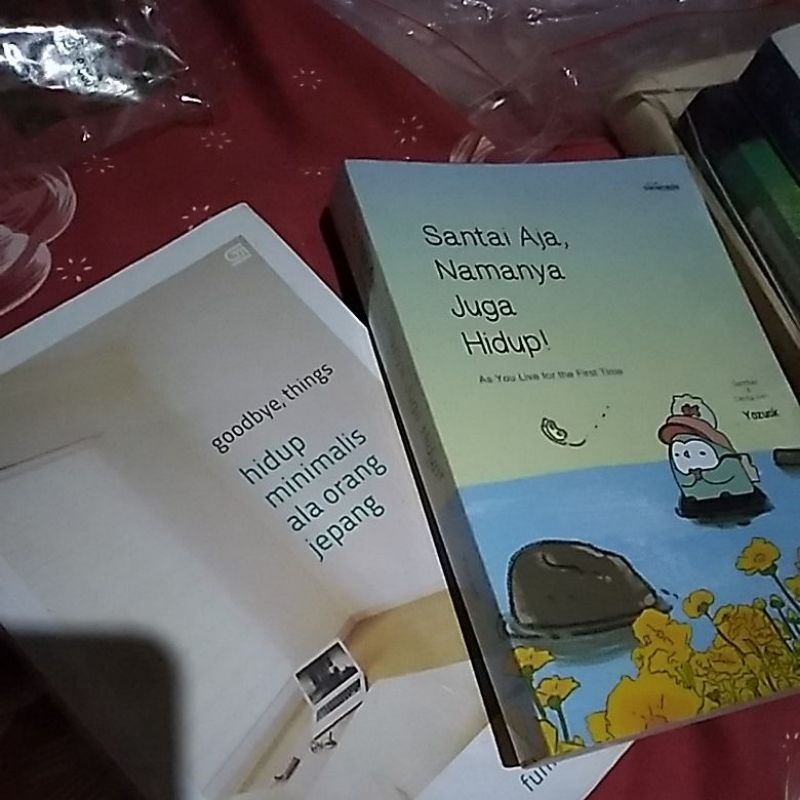 preloved buku goodbye things & santai aja namanya juga hidup