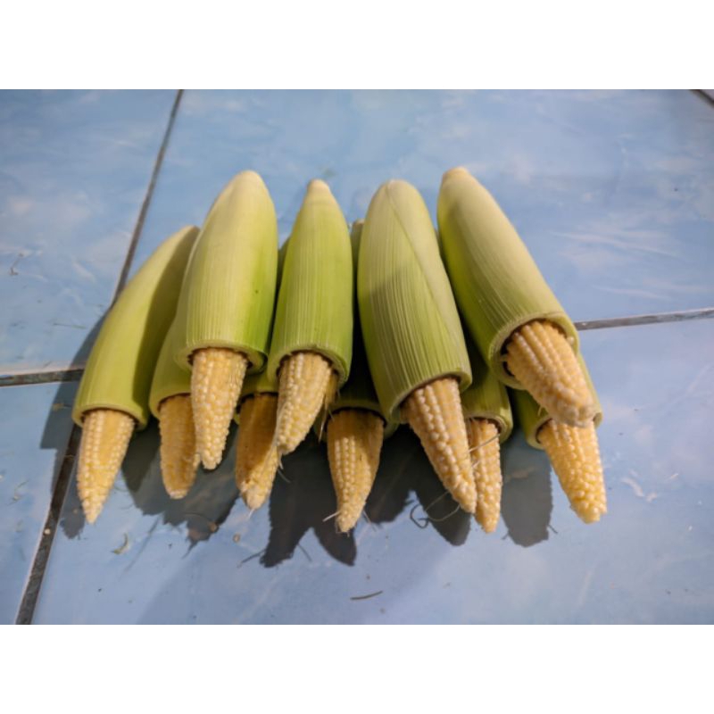 

jagung acar 250 gram