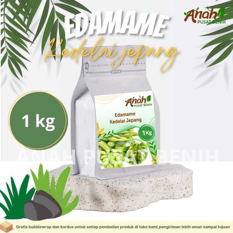Benih Edamame Kedelai Jepang 1 kg / Bibit Edamame / Kacang Edamame