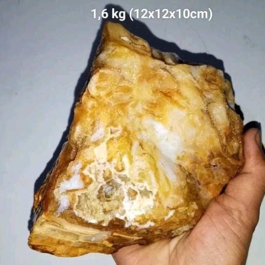 batu fosil kayu Cendana full kristal (458)