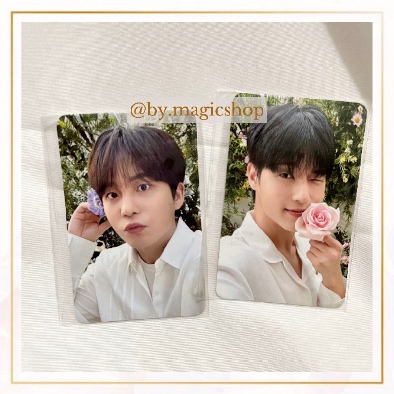 OFFICIAL ATEEZ PHOTOCARD NACIFIC - PHOTOCARD JONGHO ATEEZ - PHOTOCARD WOOYOUNG ATEEZ - ATEEZ OFFICIA