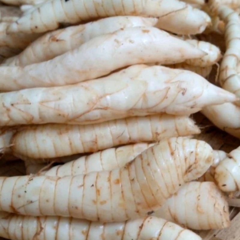 

Ubi Garut Segar 1 Kilogram