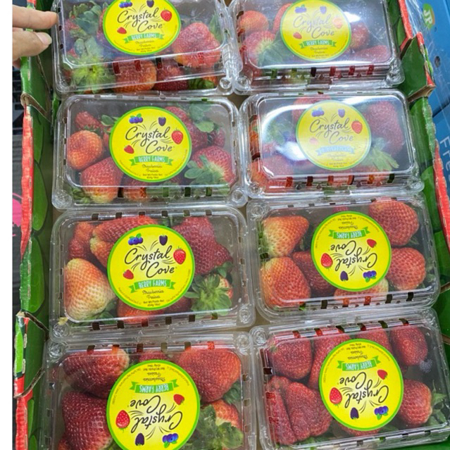 

Strawberry Jumbo Import Fresh / Buah Strawberry Jumbo / 454 grm / Pack