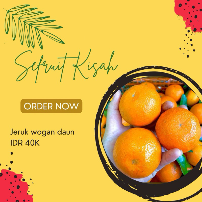 

JERUK WOGAN DAUN BUAH PREMIUM SEFRUIT KISAH