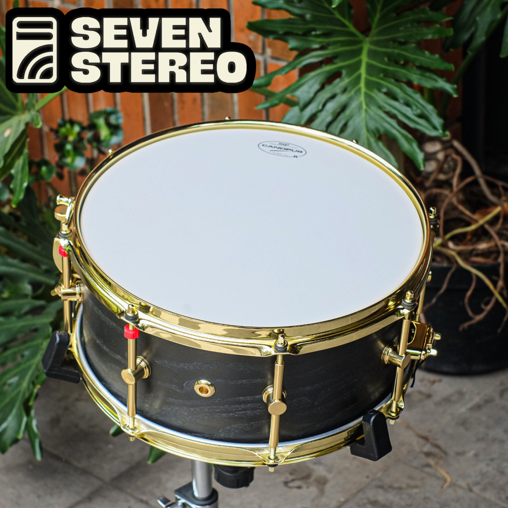Canopus Rayendra Sunito Signature Snare 13x6 Made In Japan